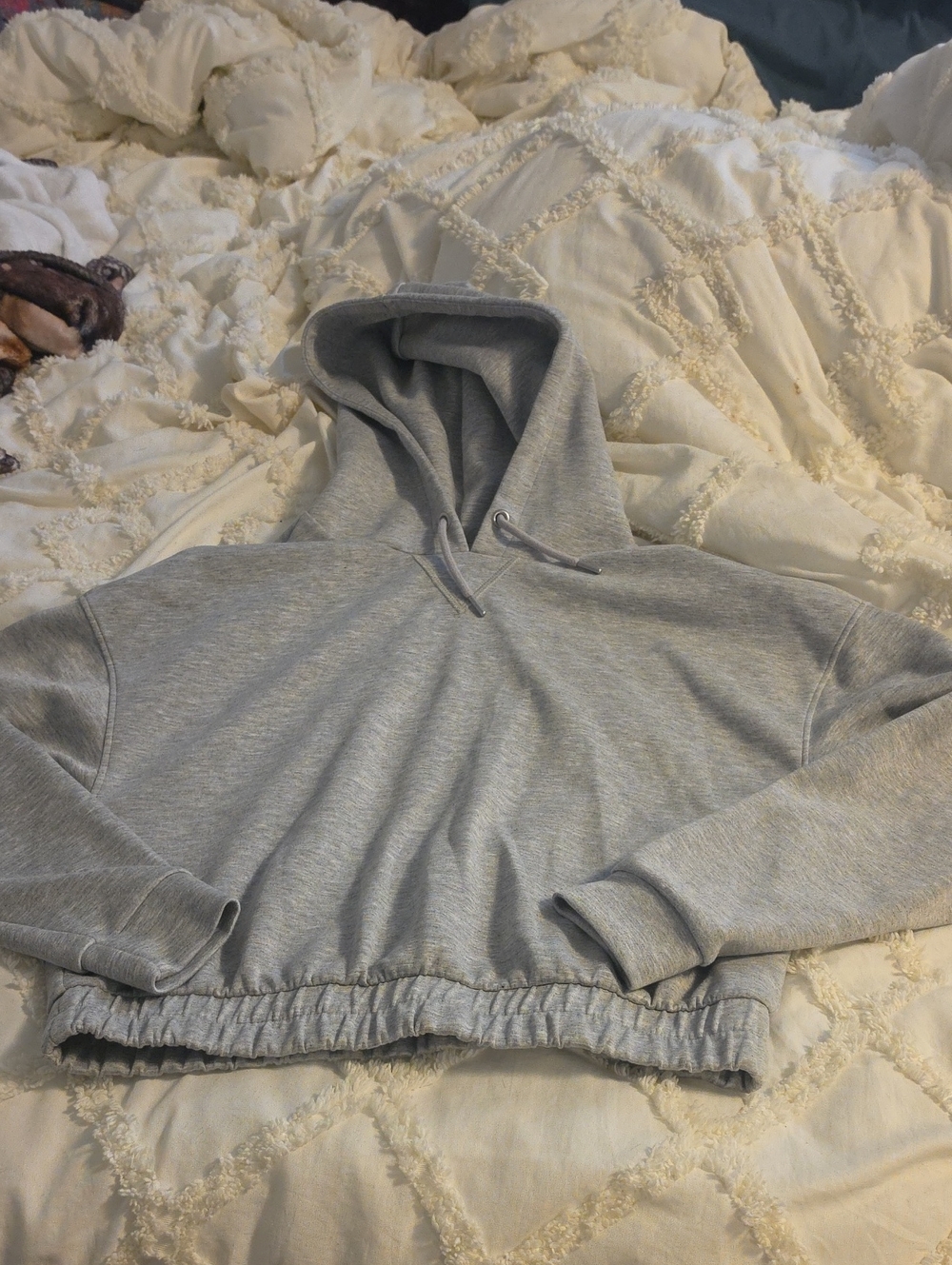 Women’s Gray Cropped Hooded Sweatshirt - Everyday Pullover